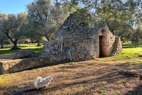 Landejendom i Ostuni, Brindisi, Ostuni - € 90.000 | Ref: 172814 - foto 4